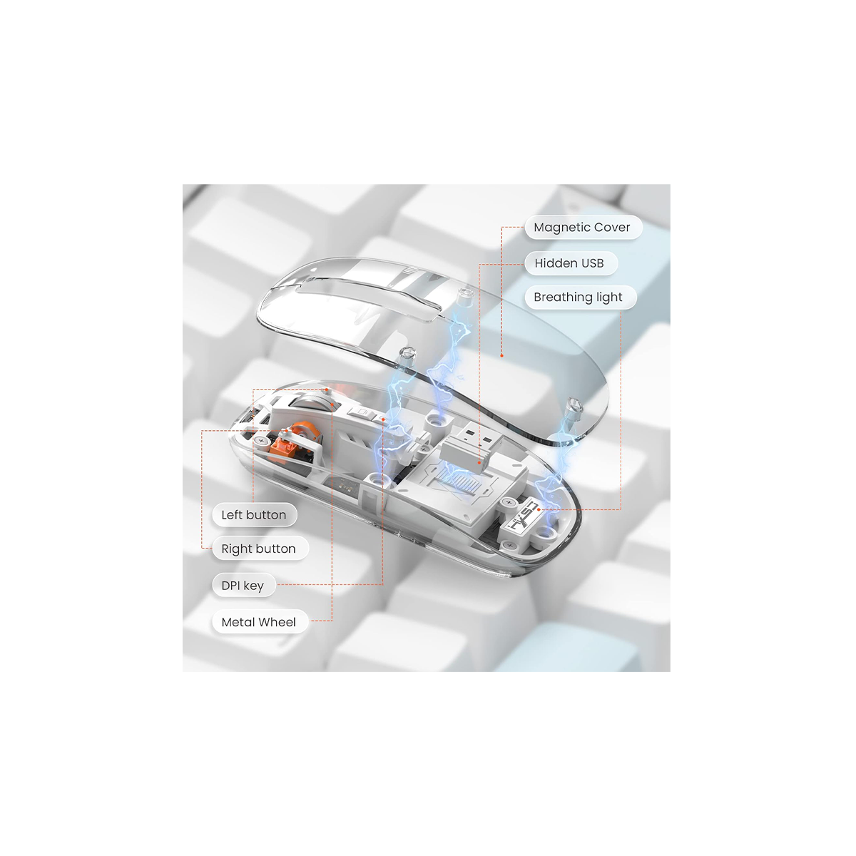 Transparent Wireless Mouse – Dual-Mode (Bluetooth 5.1 & 2.4 GHz), Silent Click, Adjustable DPI