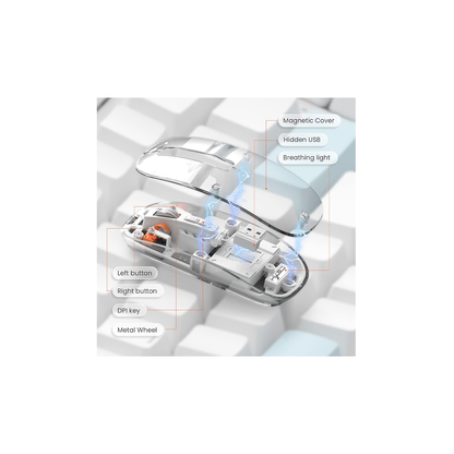 Transparent Wireless Mouse – Dual-Mode (Bluetooth 5.1 & 2.4 GHz), Silent Click, Adjustable DPI